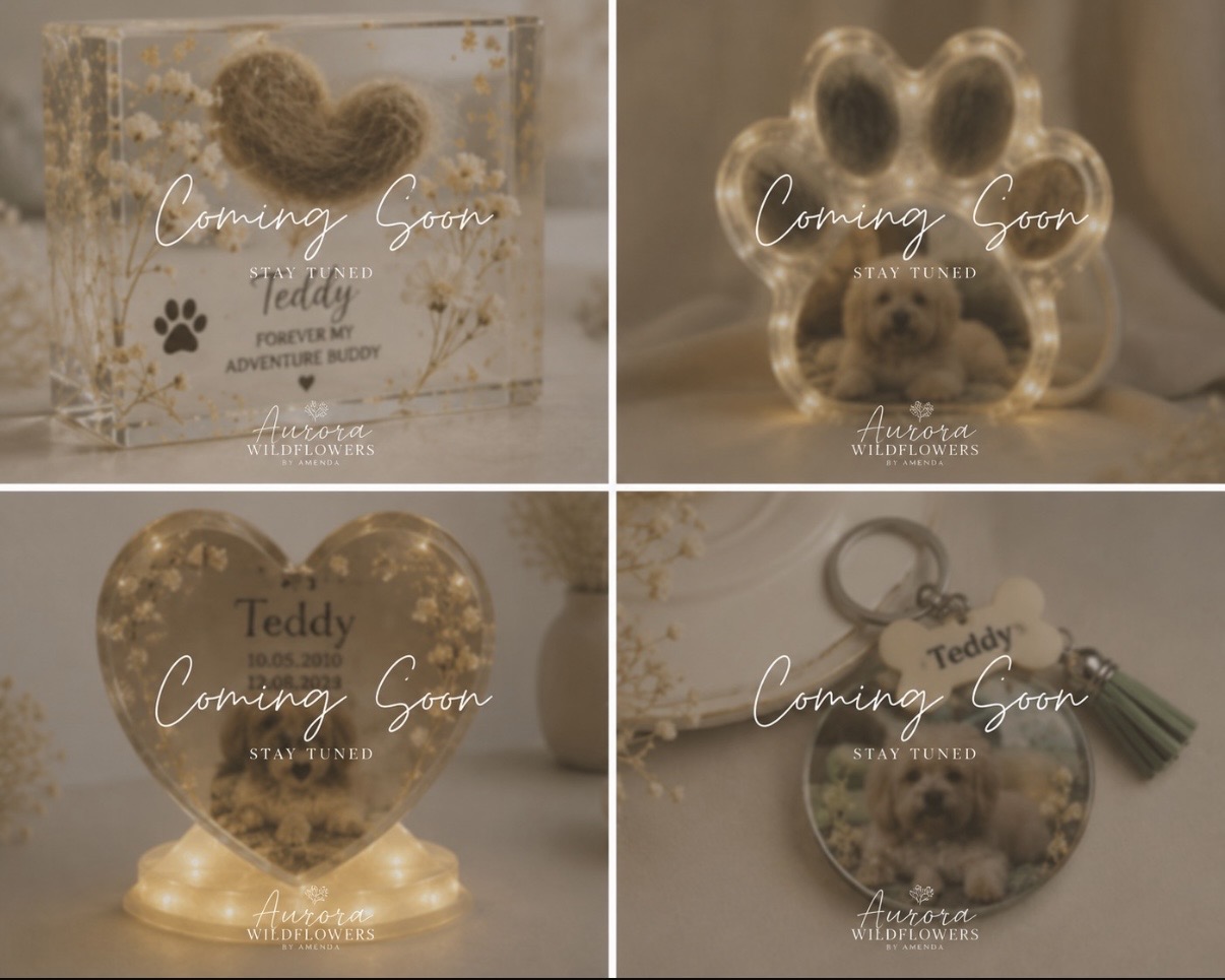 Paw-Shaped Pet Keepsakes